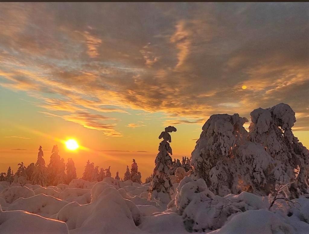 Ferienwohnung Heide Фройденштадт Екстер'єр фото